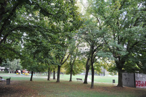 parco-modigliani