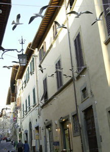 installazione_gabbiani2