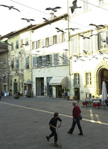 installazione_gabbiani3