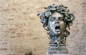 theimer-medusa