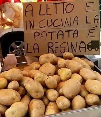 patata-regina