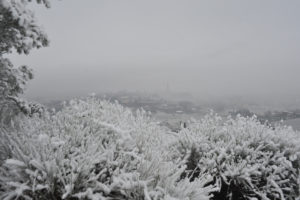 Arezzo Neve
