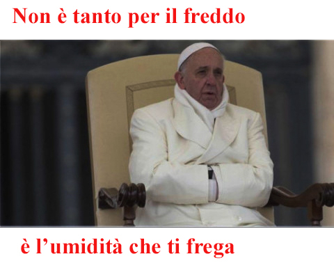 freddo