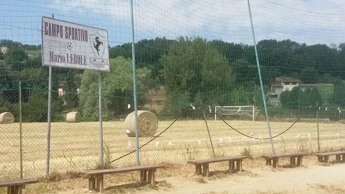 rotoballe-campi-funghini
