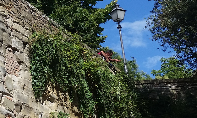 taglio-capperi