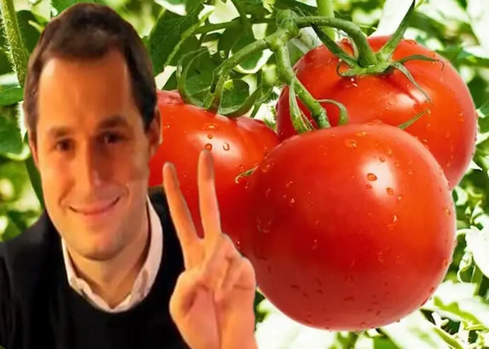 marco-donati-pomodoro
