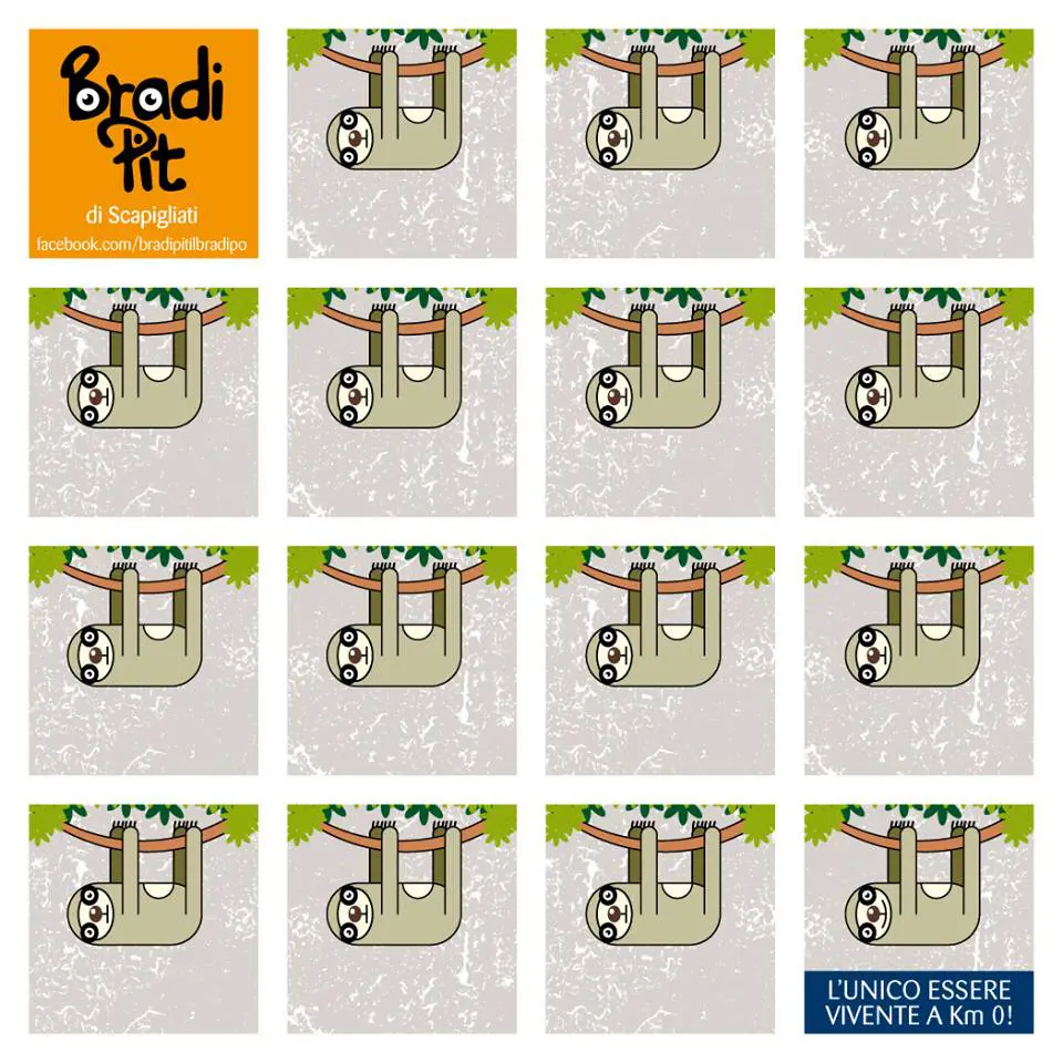 bradi-pit
