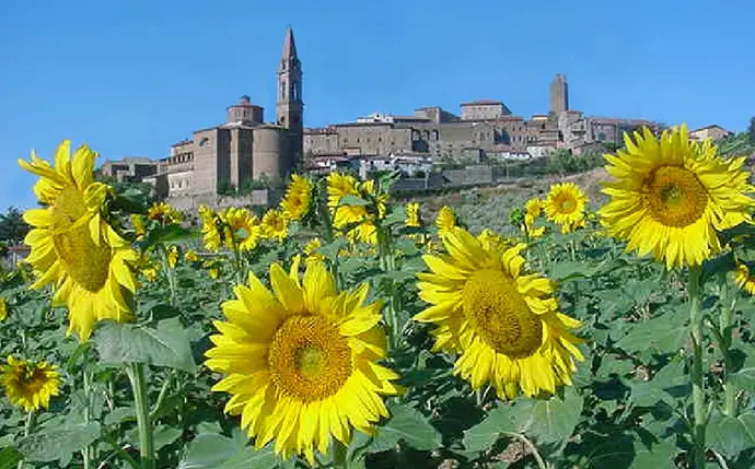 castiglionfiorentino