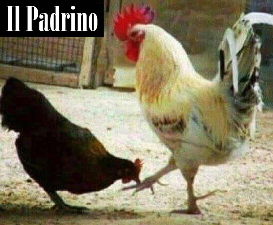 il-padrino