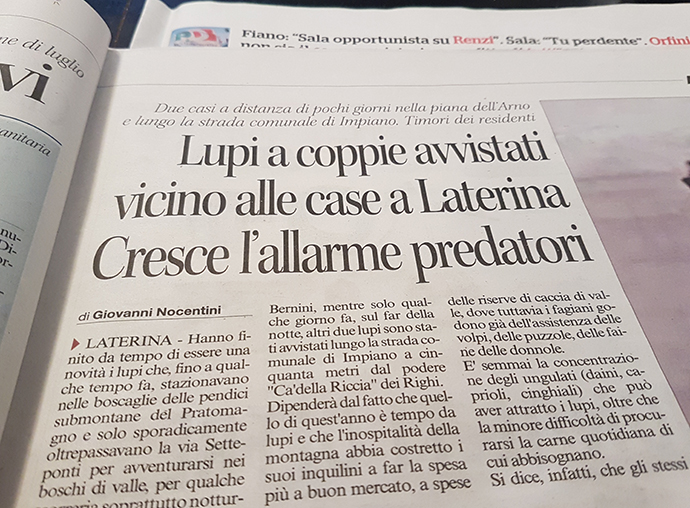 Lupi-a-Laterina
