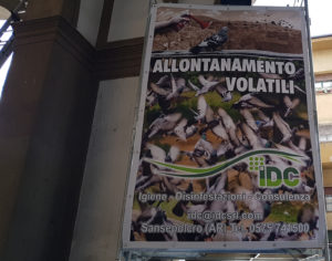 Allontanamento volatili