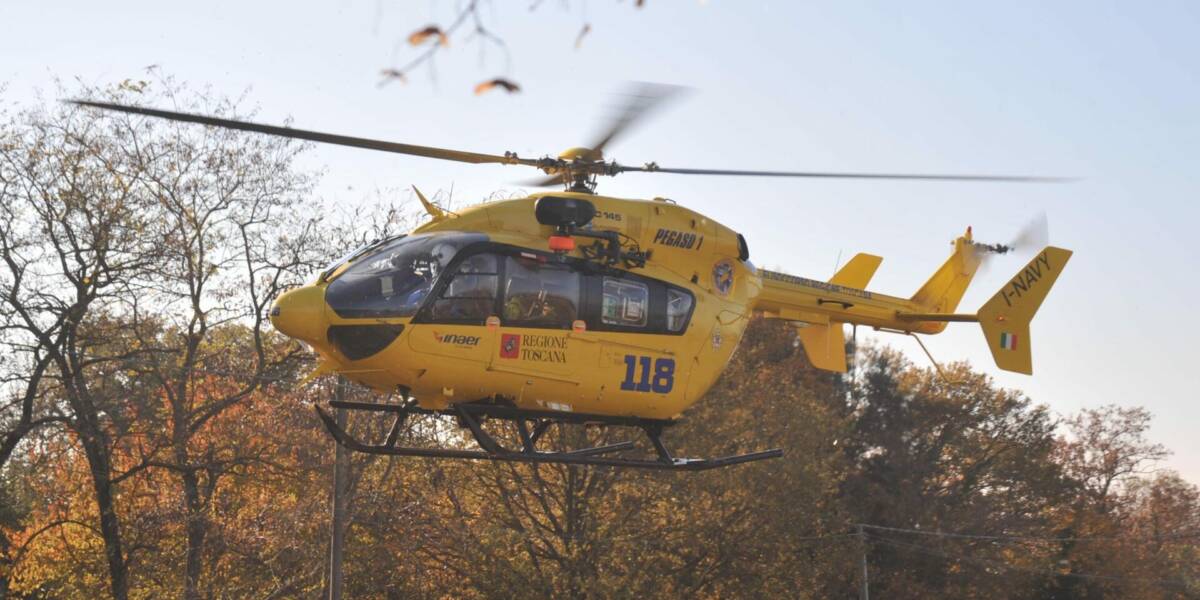 Pegaso 118