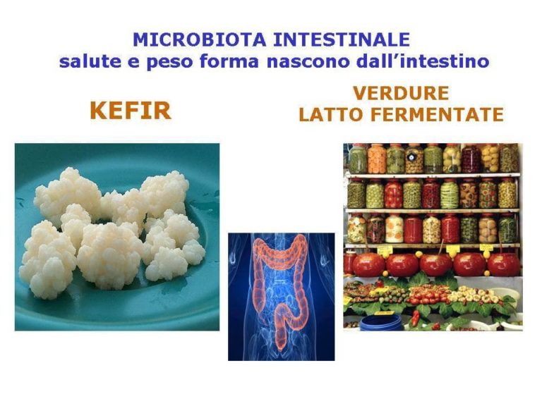 Microbiota e peso corporeo