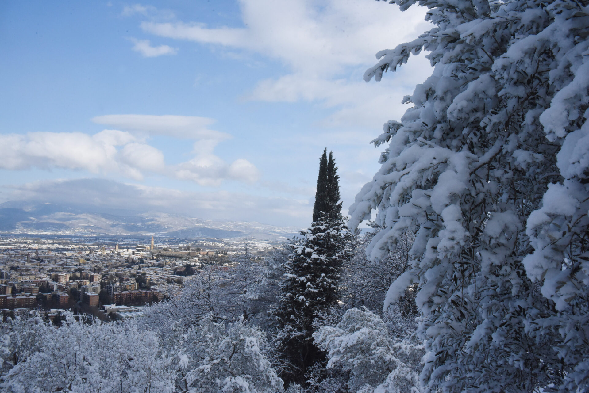 arezzo