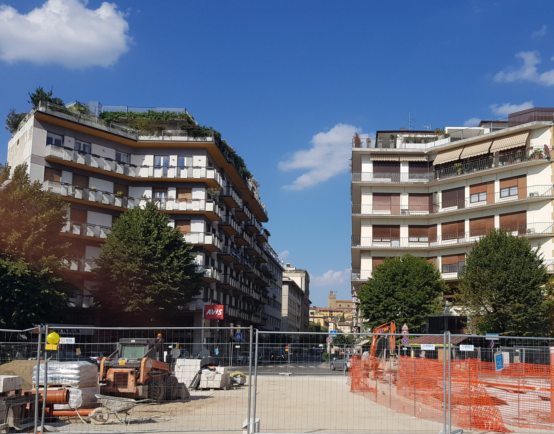 Alberi piazza della Repubblica