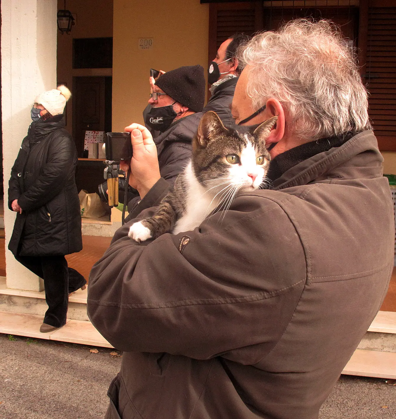 Olmo-benedizione degli animali (9)