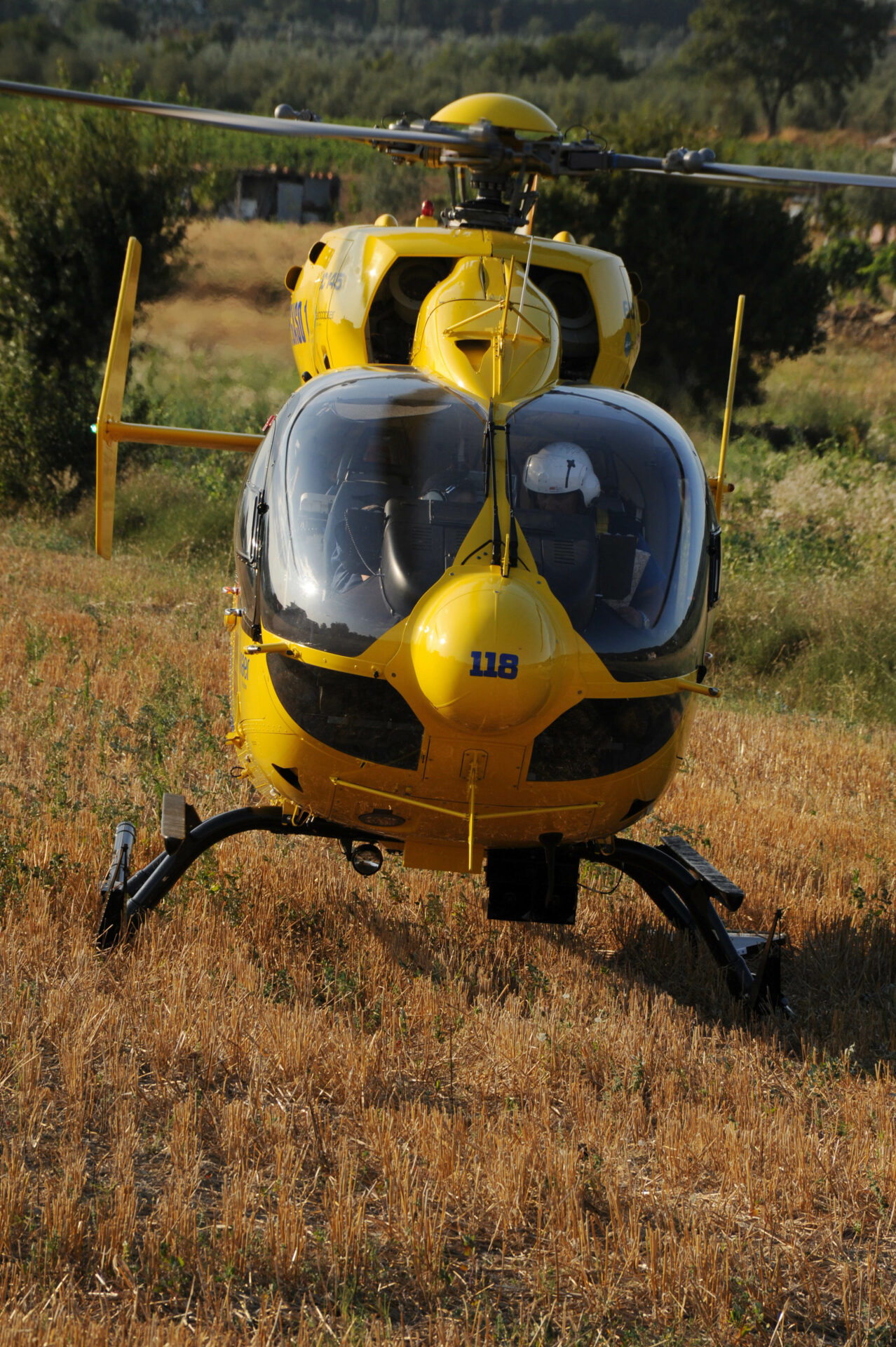 Pegaso