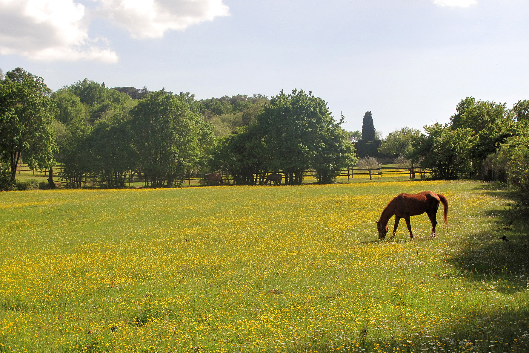 Arezzo-San Fabiano (22)