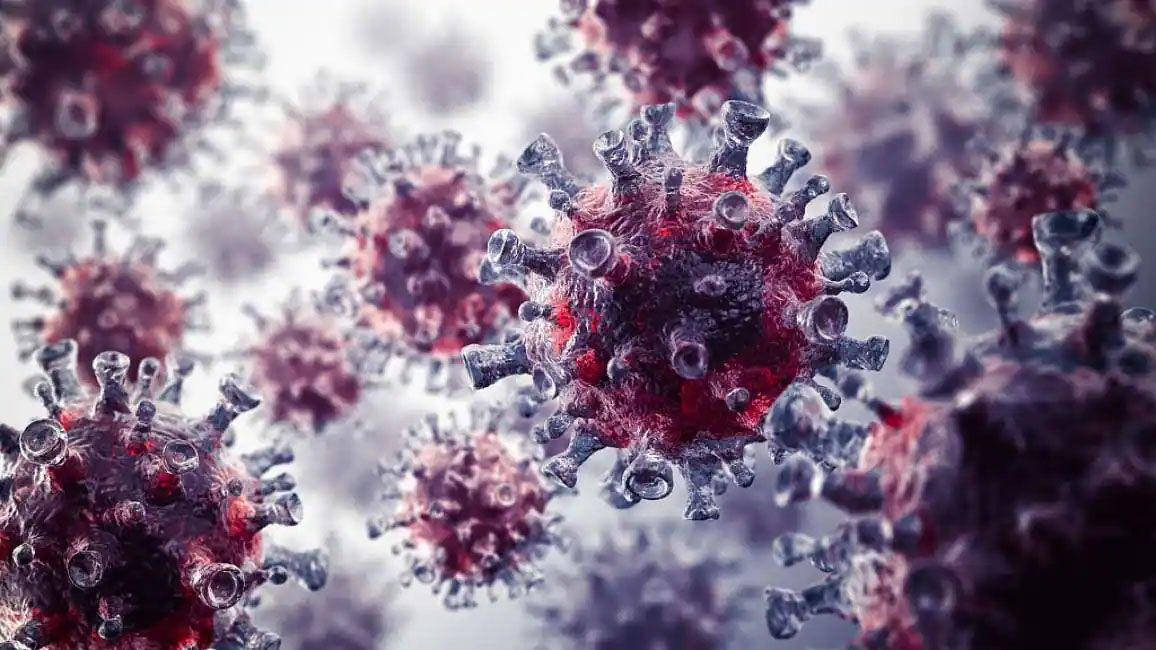 coronavirus