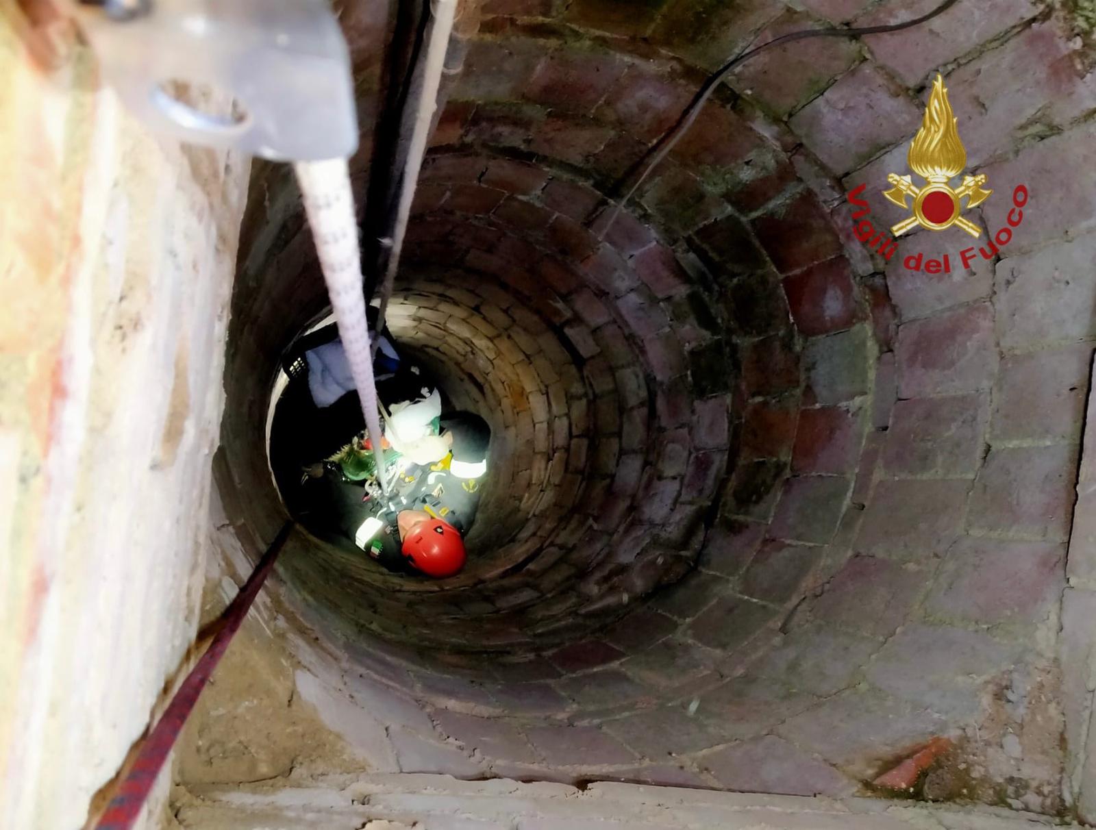 Borgo a Giovi, i Pompieri salvano gatto caduto nel pozzo
