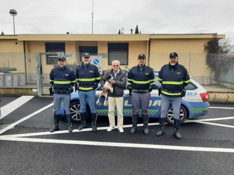 Salvato in autostrada e riconsegnato al proprietario un cane scappato nella notte