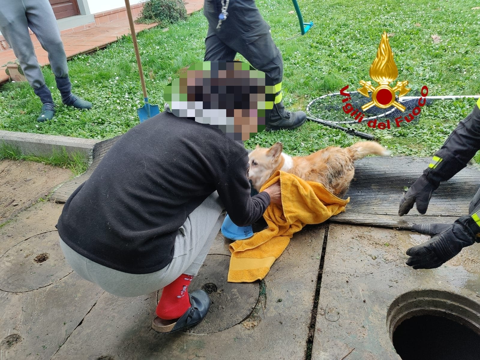 Cane finito nella fossa biologica