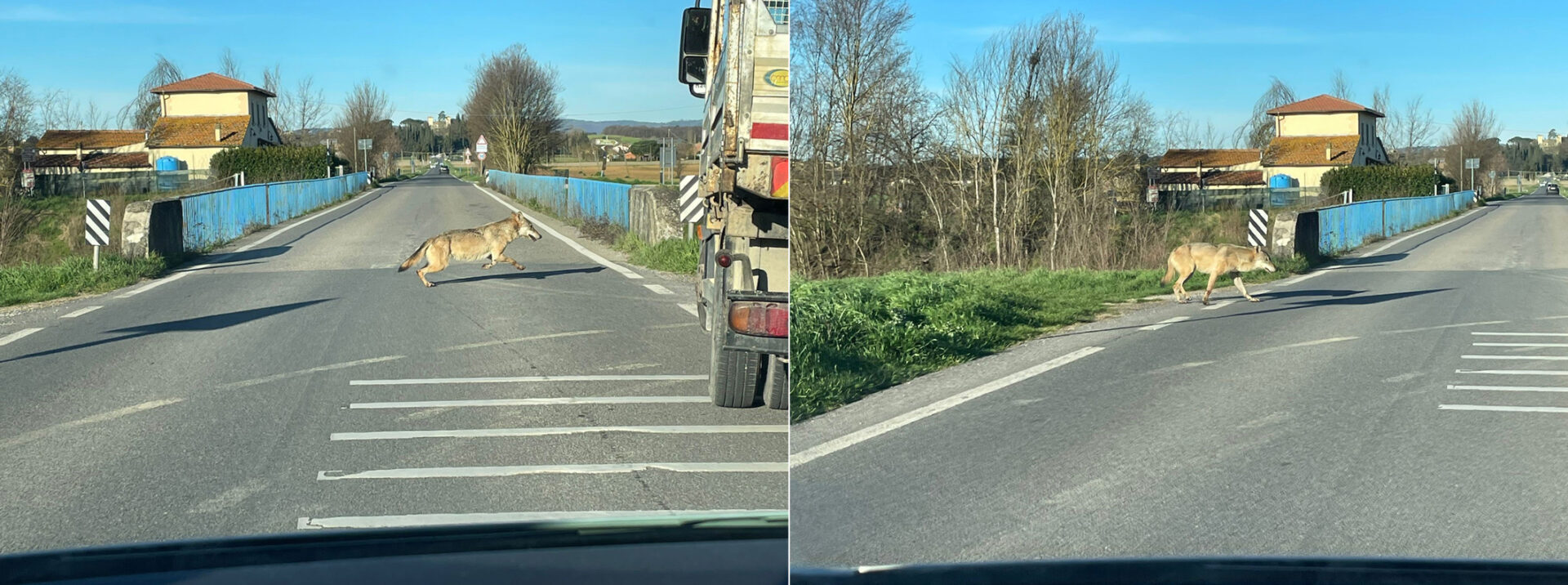 Via dellinfernaccio