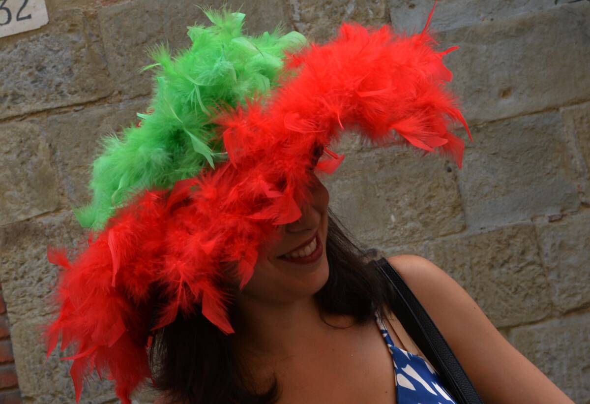 I colori della Giostra (1)