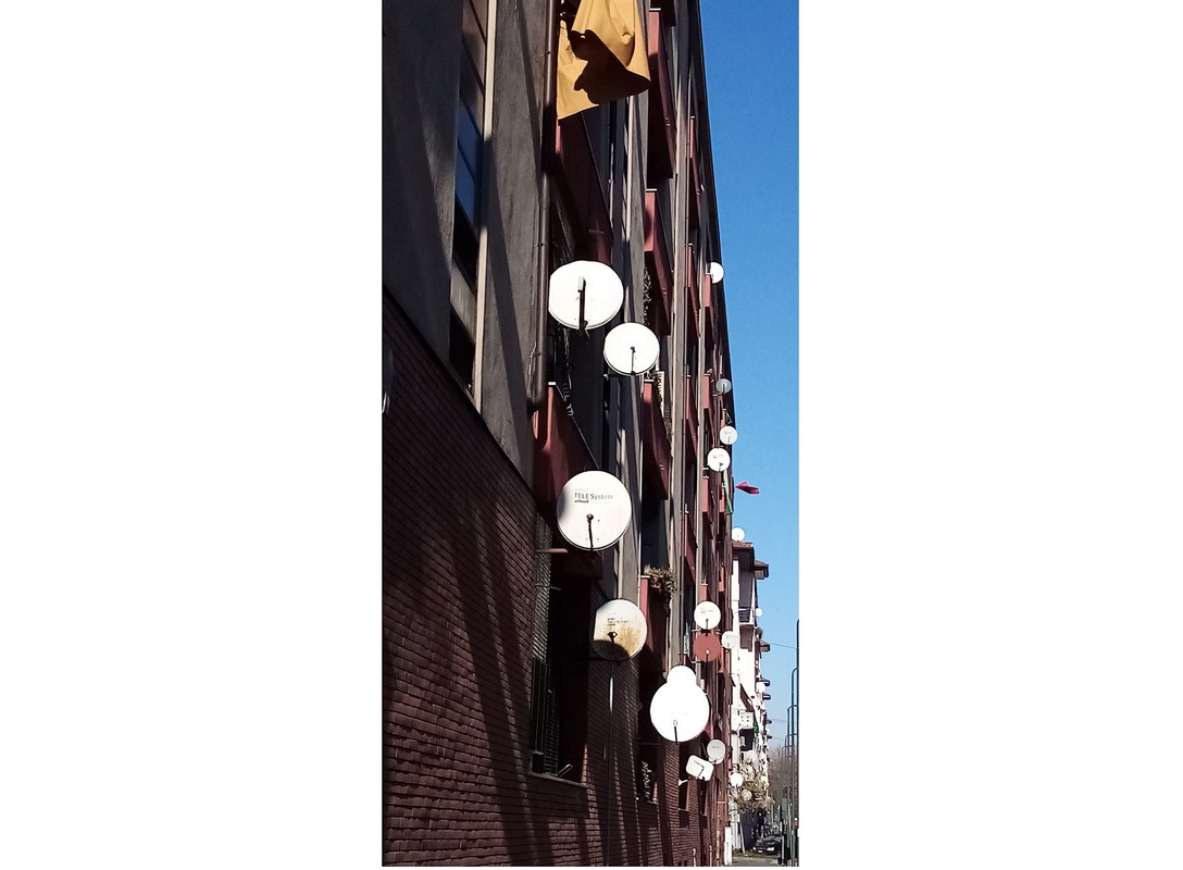 Ico_è primavera