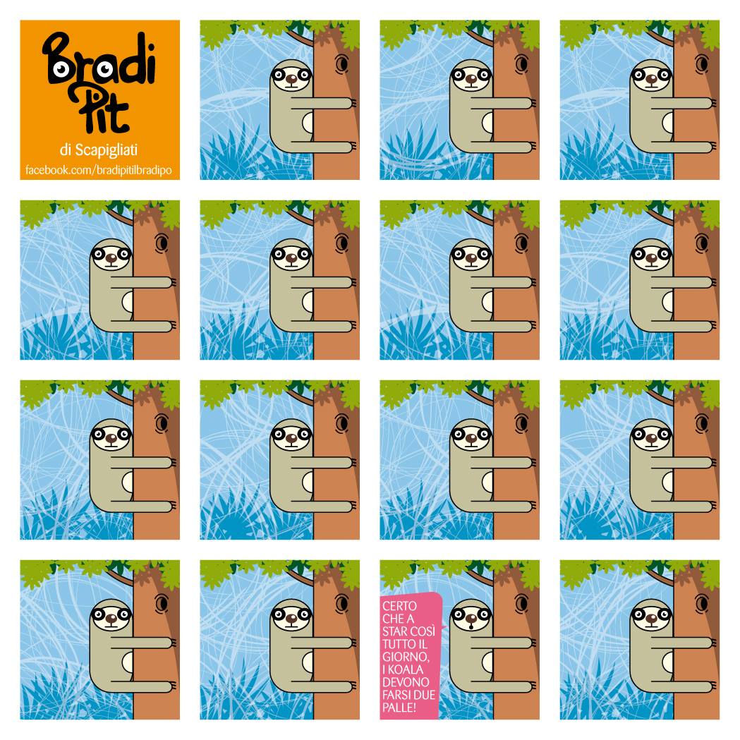 I koala