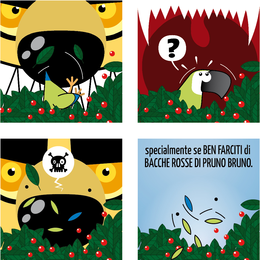 Il parrocchetto-2