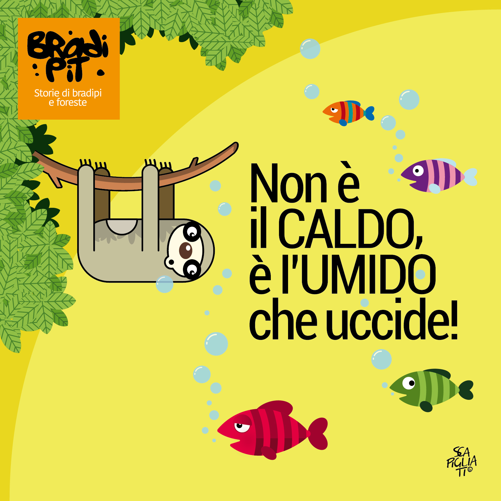 TEMPERATURA PERCEPITA ACQUA!