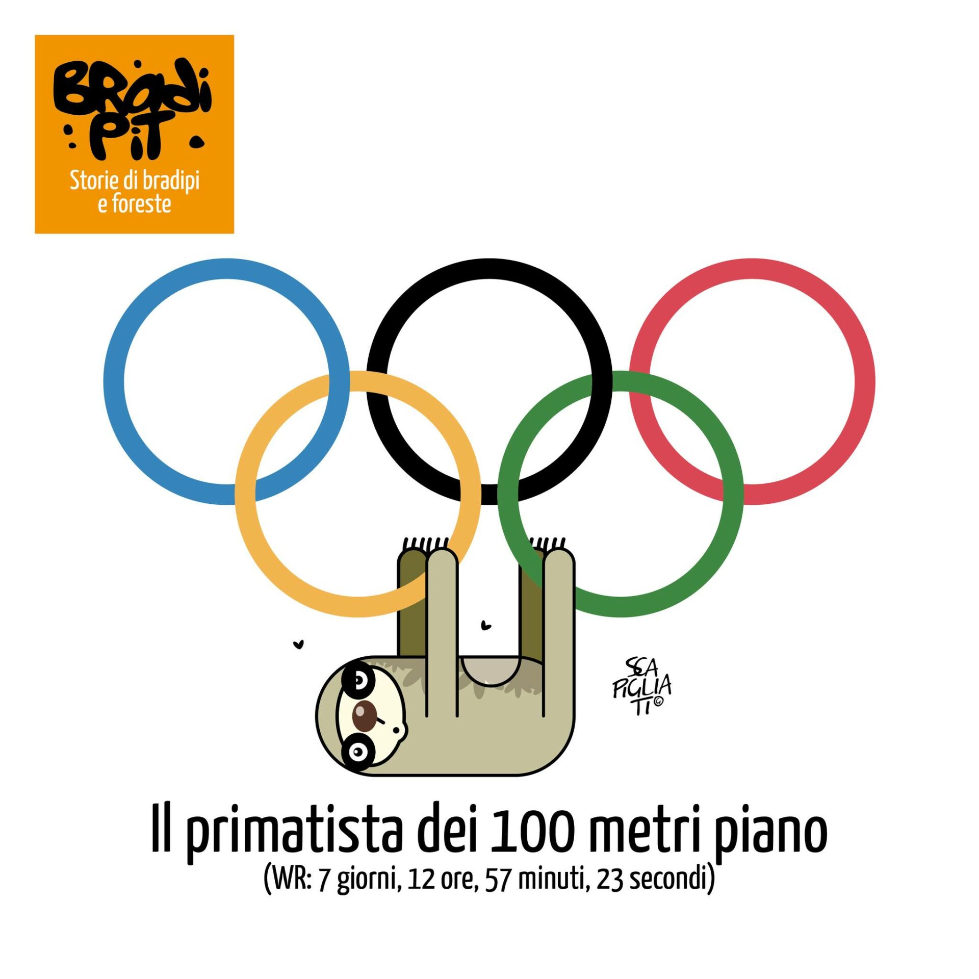 CHI HA STABILITO LA REGOLA...