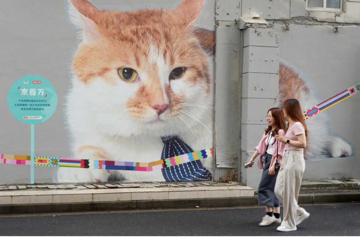 ico-Shanghai si colora di gatti
