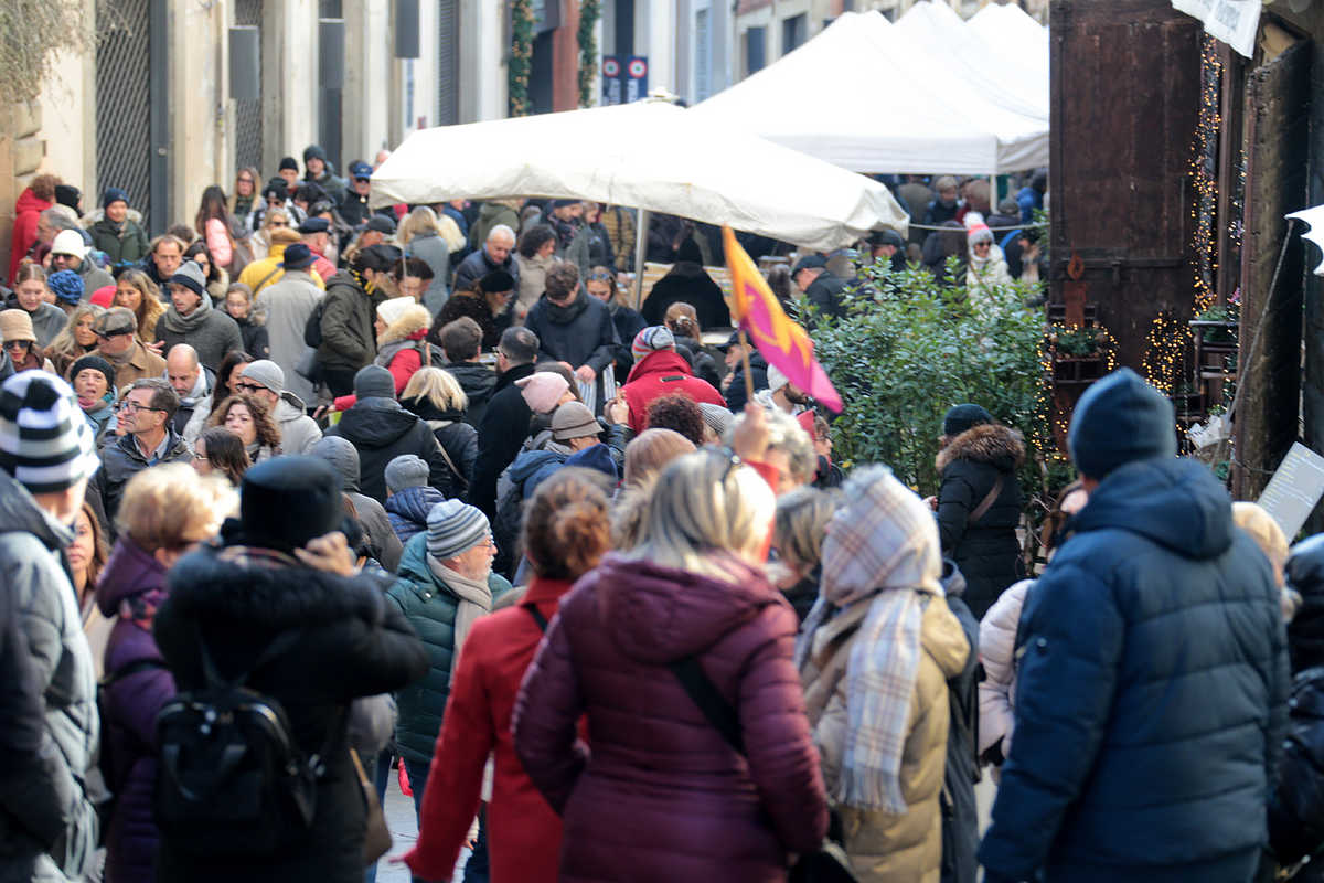 Fiera Antiquaria di dicembre 2024 (8)