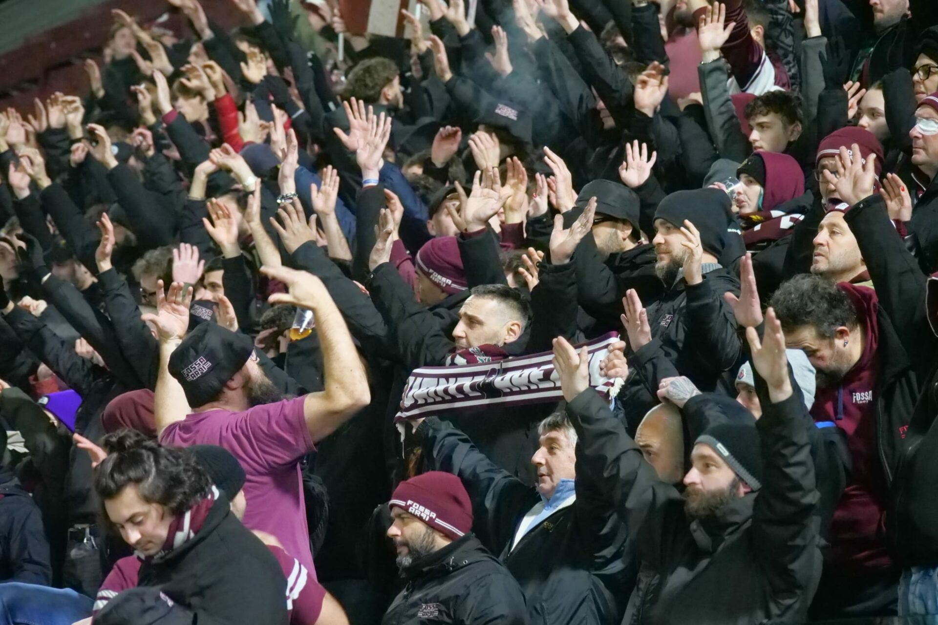 Tifo amaranto