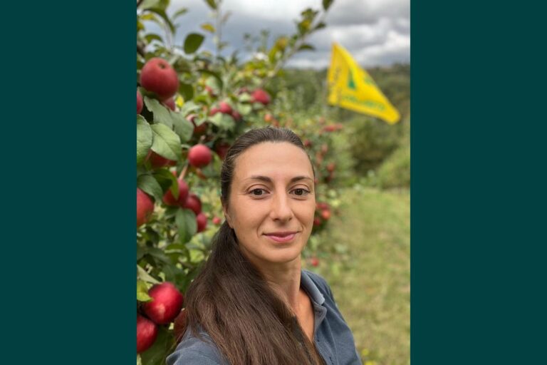 Arezzo, frutticoltura in crisi: dimezzati gli alberi da frutto in dieci anni