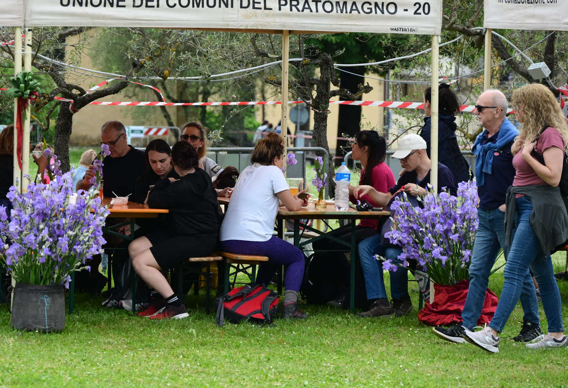 Castelfranco Piandiscò in fiore: racconto fotografico della Festa del Giaggiolo Castelfranco Piandiscò in fiore: racconto fotografico della Festa del Giaggiolo