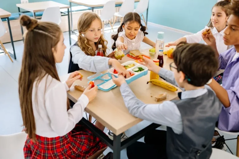 Refezione scolastica, OraGhinelli a Menchetti: “I dati sono già noti, ma li ribadiamo per chiarezza”