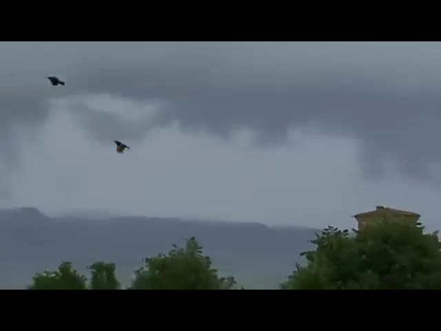 Maltempo in Toscana: allerta arancione e danni nel Casentino, fulmine colpisce il campanile di Poppi Maltempo in Toscana: allerta arancione e danni nel Casentino, fulmine colpisce il campanile di Poppi