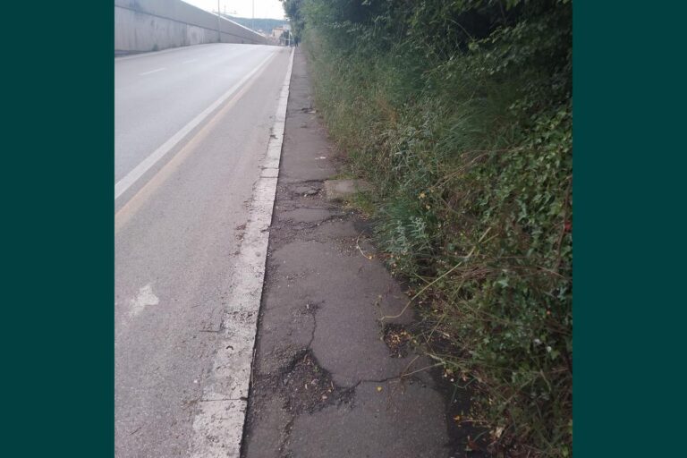 Città abbandonata al verde selvaggio: la manutenzione non abita più qui