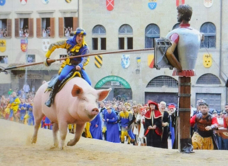 Arezzo, il maiale gialloblù fa più notizia dei cavalli. ASL, ENPA, e Comune insorgono