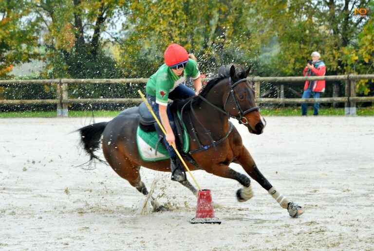 Mounted Games, Chiara Romanelli è Campionessa Italiana 2025