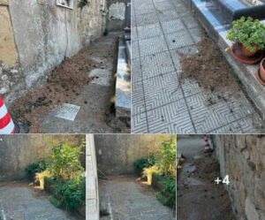 Aghi di pino, detriti e vegetazione nei vialetti del cimitero di San Leo ad Arezzo