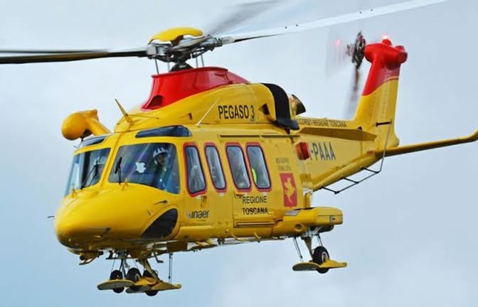 Pegaso 1