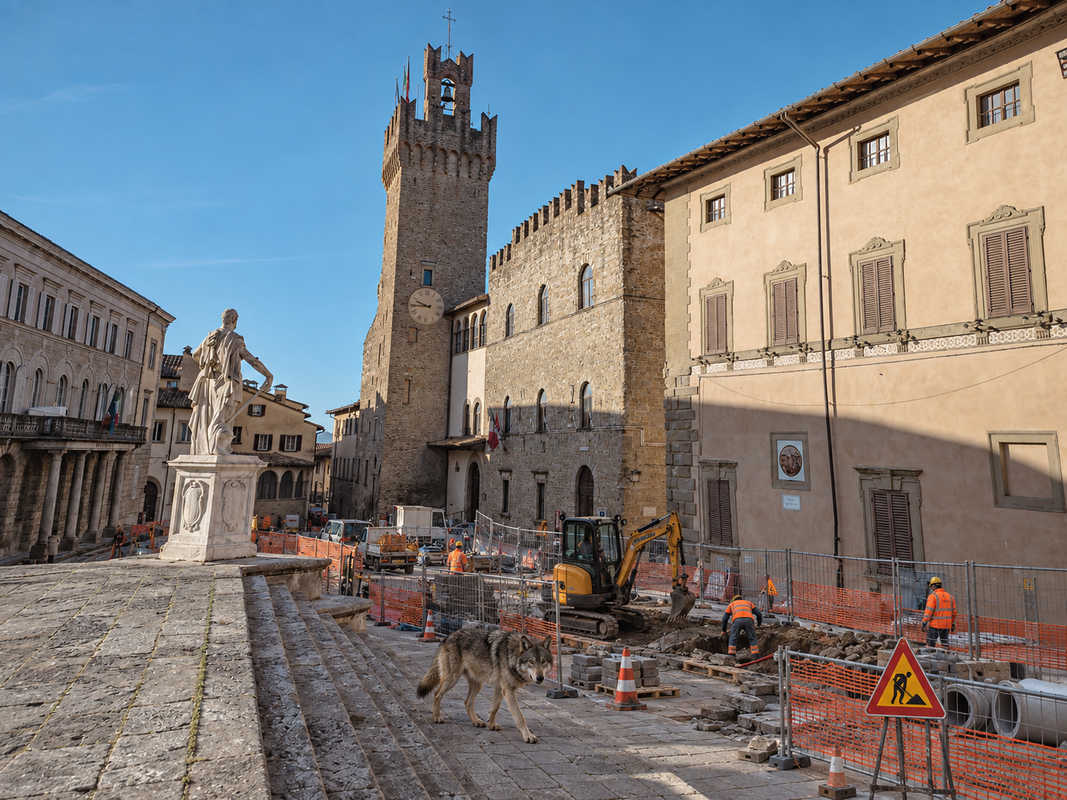 palazzo-cavallo-arezzo-cantiere-lupo-futuro-nazionale Palazzo Cavallo ad Arezzo con un cantiere stradale e un lupo, immagine satirica sui temi portati da Futuro Nazionale in Consiglio comunale