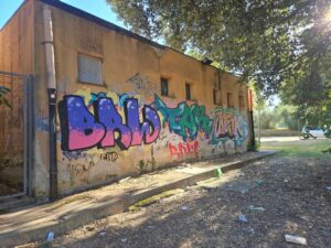 Edificio del Pionta con graffiti lungo un percorso interno dell'area