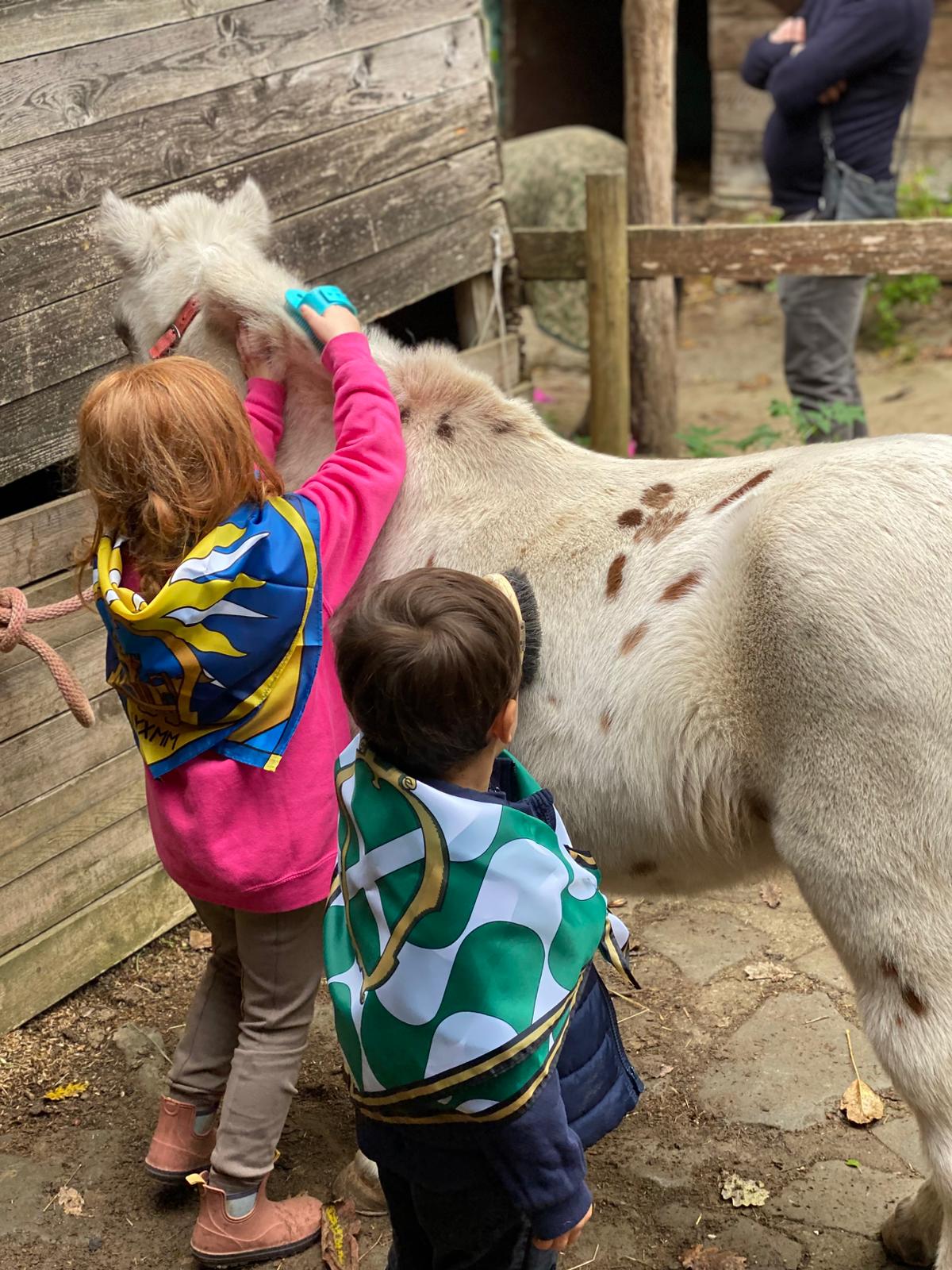 Bambini con un pony al Trofeo del Saracino Memorial Carlo Fardelli ad Arezzo