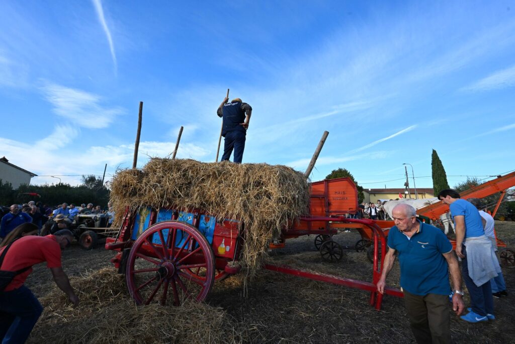 Lavori contadini alla Mostra del Carro Agricolo di Fratticciola 2026
