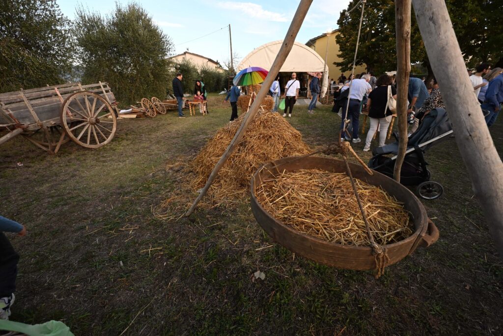 Attrezzi contadini alla Mostra del Carro Agricolo di Fratticciola 2026